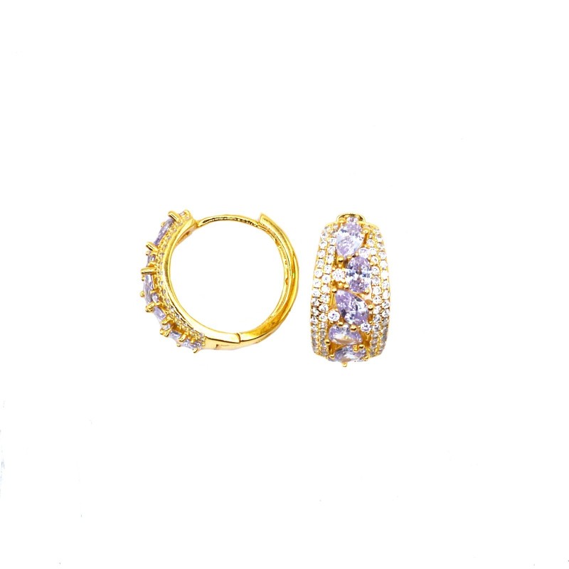 Rounded zircon hoop earrings with row...