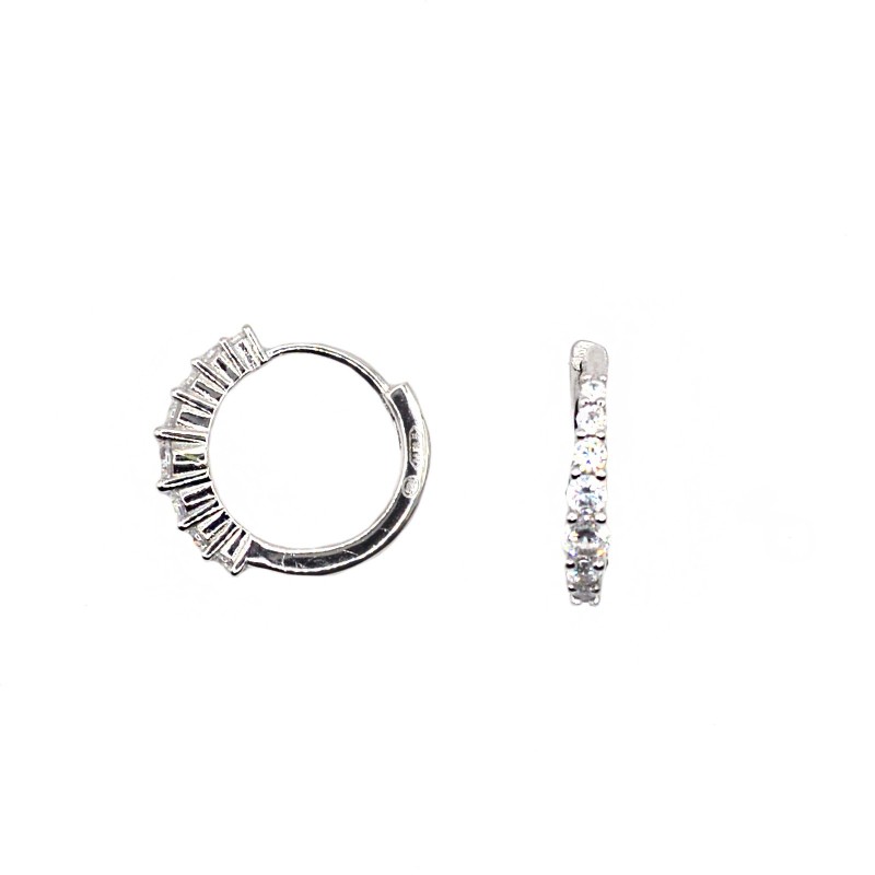 Hoop earrings with white degradé...